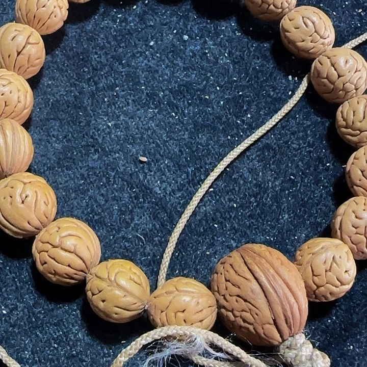 7号野生桃核大肠纹毛线圈