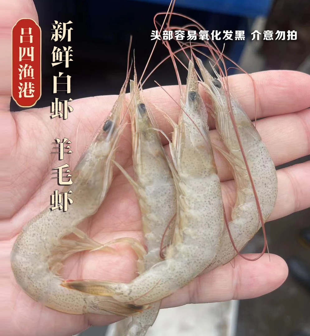 吕四野生  小白虾  羊毛虾