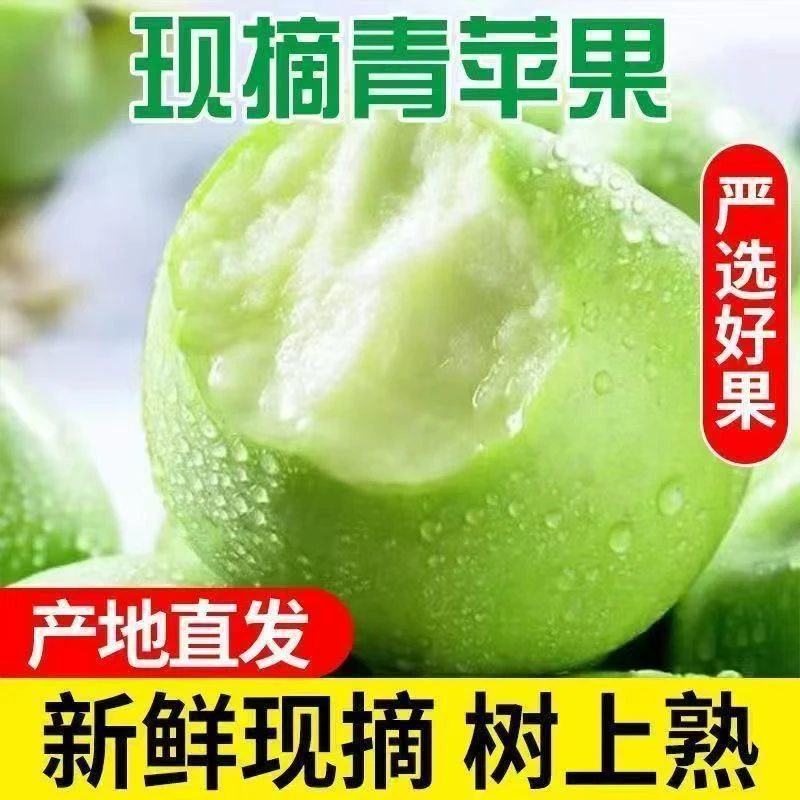 顺丰包邮高山当季孕妈妈水果现摘现发新鲜甜脆多汁自然熟青苹果