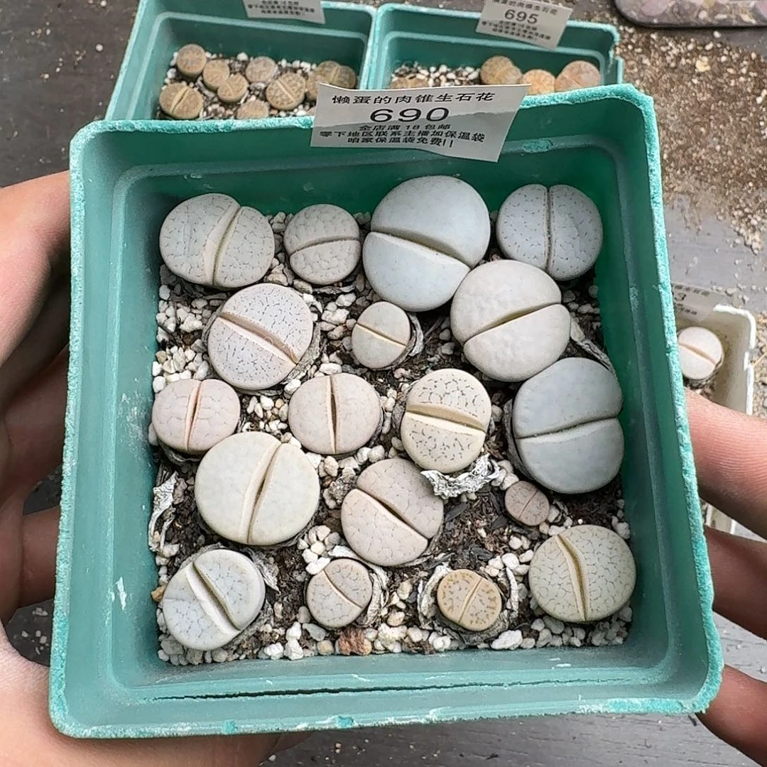 690满18 包邮保温袋联系客服