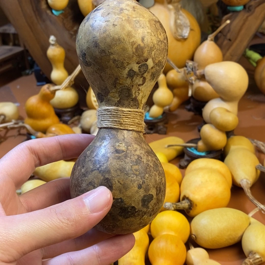 快***乐教练教练经济哥哥教练