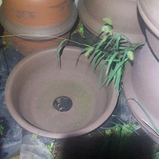 紫砂花盆宜兴紫砂厂家直销