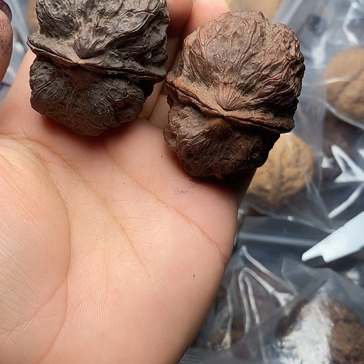 把件文玩核桃57号46mm