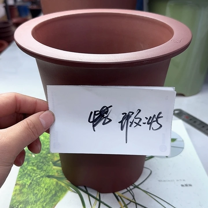 红陶22222222222222222222