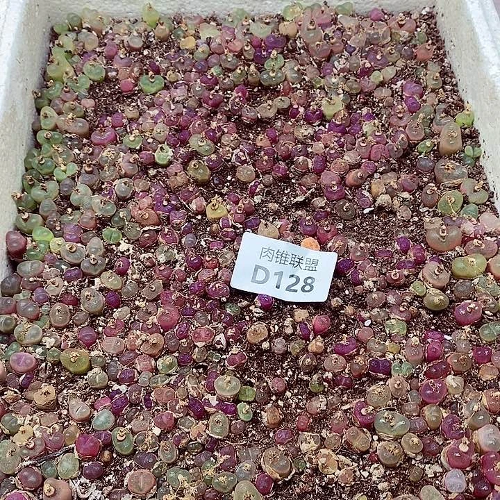 128呃呃呃呃呃呃呃呃呃呃呃呃