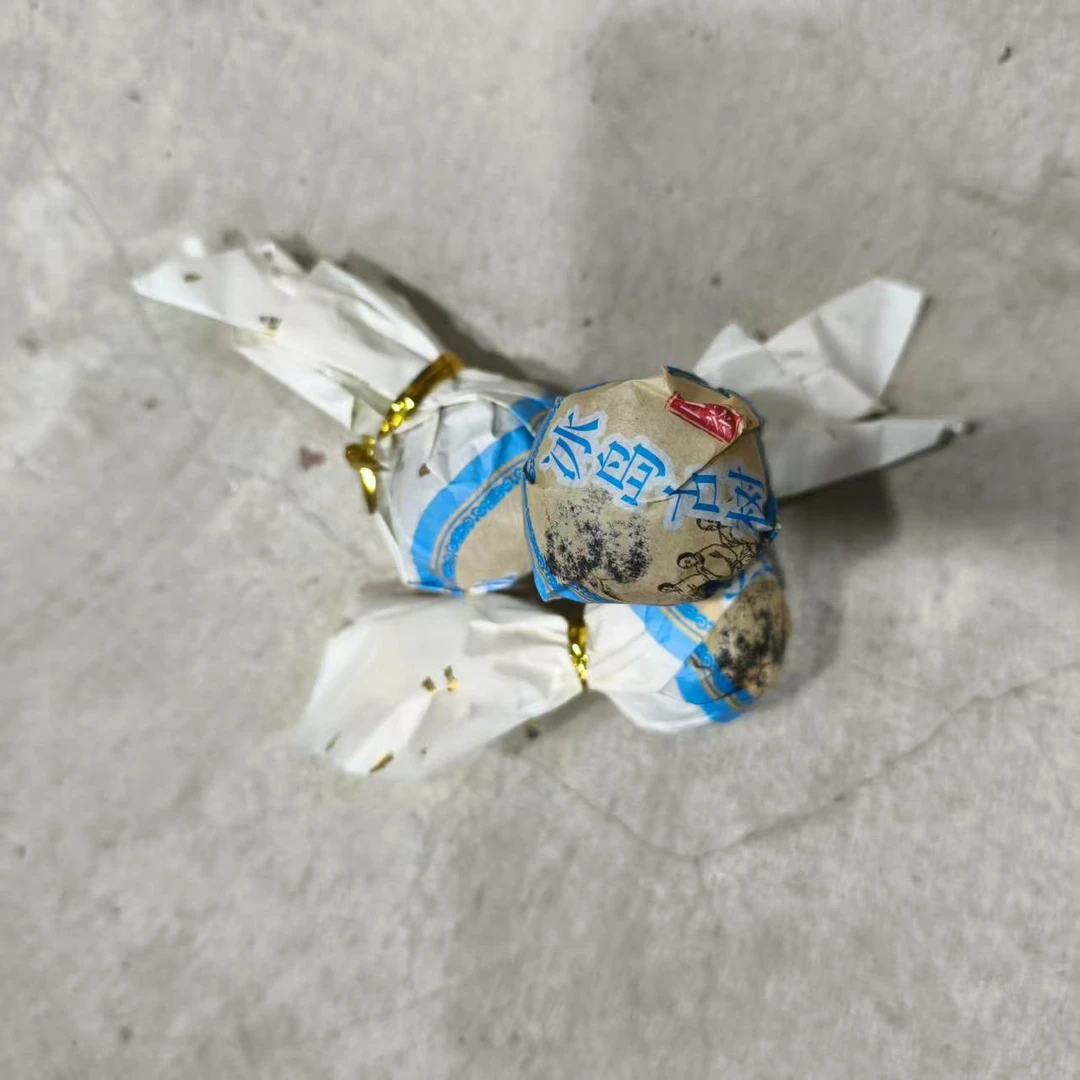 【以茶之铭】冰岛古树白茶龙珠
