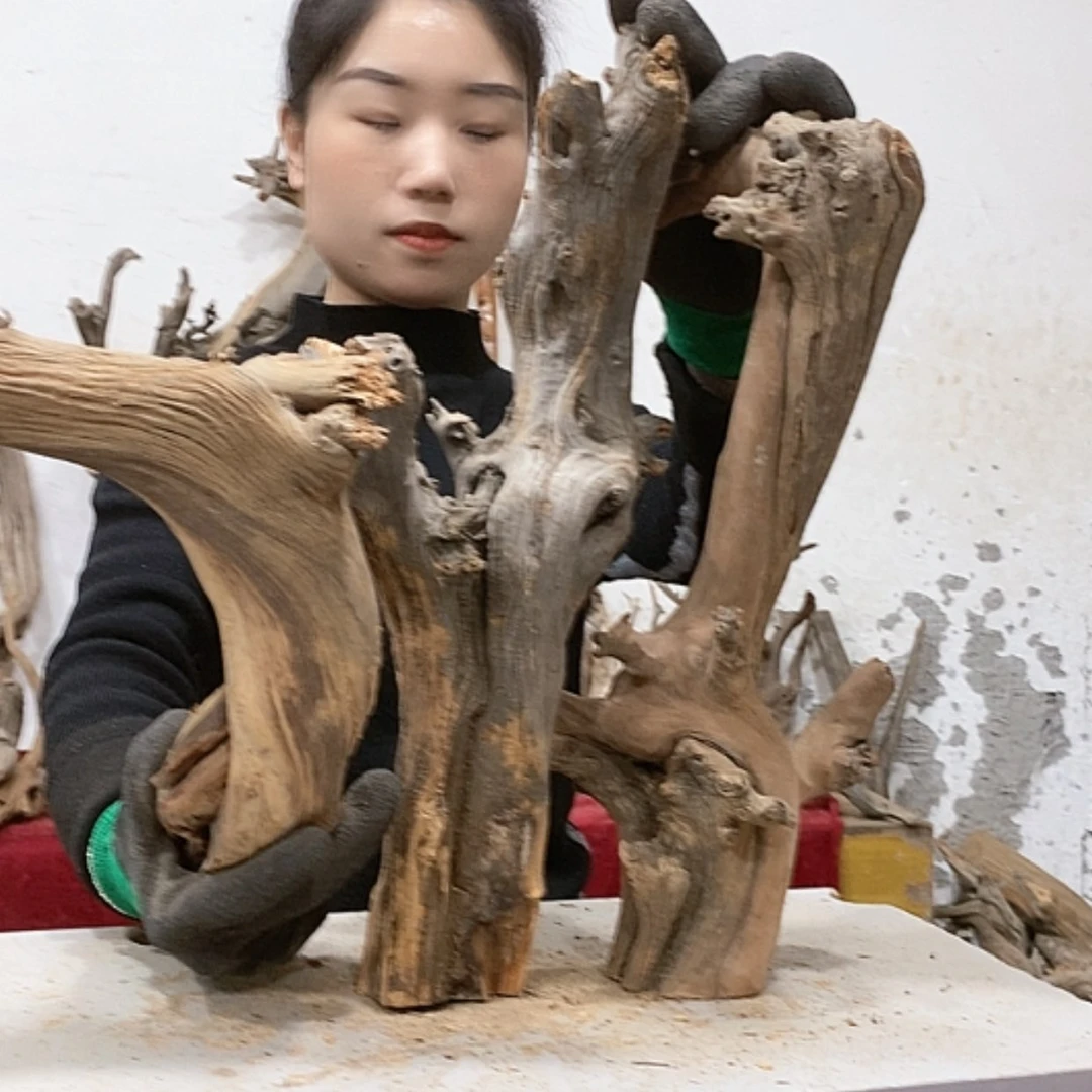 【闪购商品】柏木用****5我们都是好孩子