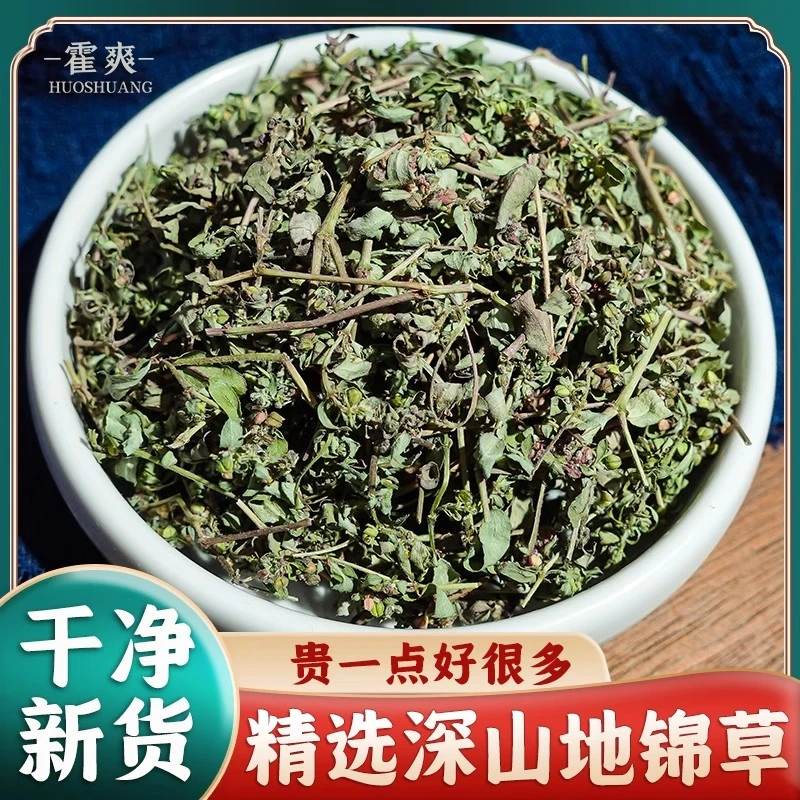 深山地锦草新货精选斑地锦草奶汁浆草泡水煮水另售茵陈白蒿