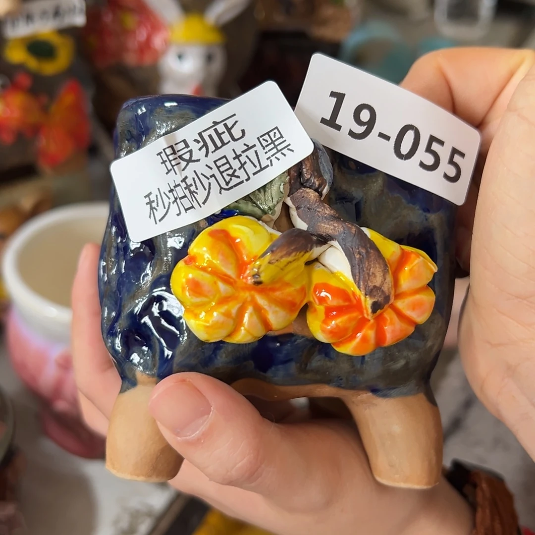 美***婷瑕疵1955 花盆，满20米发货，爱退款拉黑