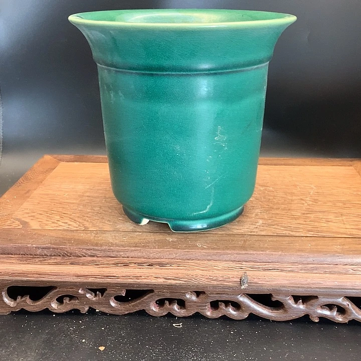 紫砂哈哈好开心哦？没有