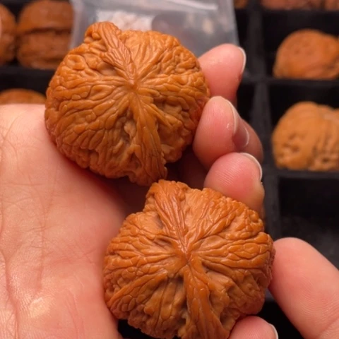 文玩核桃把件秦岭山脉核桃