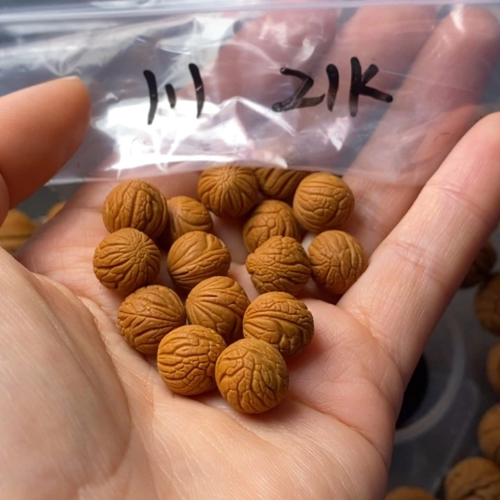 手串文玩核桃秦岭野生龙纹桃核11