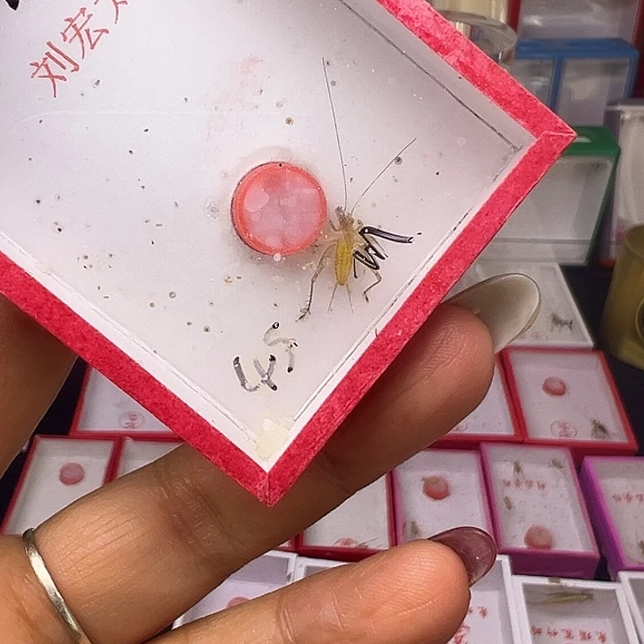 新***店哈哈哈哈哈哈哈哈哈