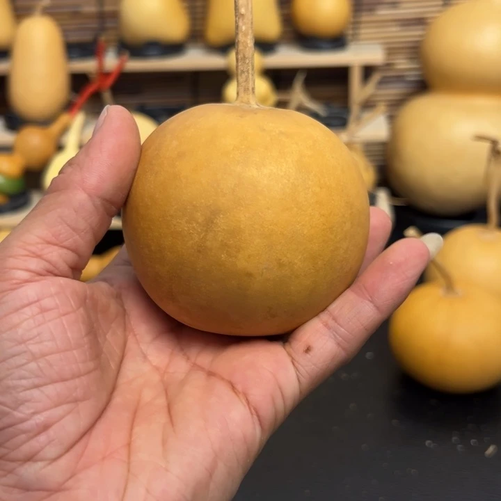 喵1555888888988空余