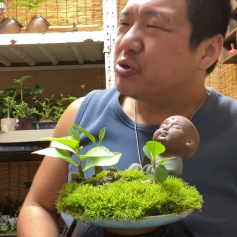 红陶一物一拍所见即所得99