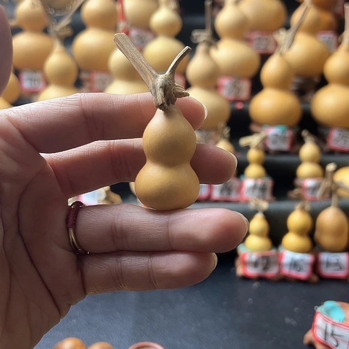 困****ᵘ天然葫芦葫芦葫芦葫芦