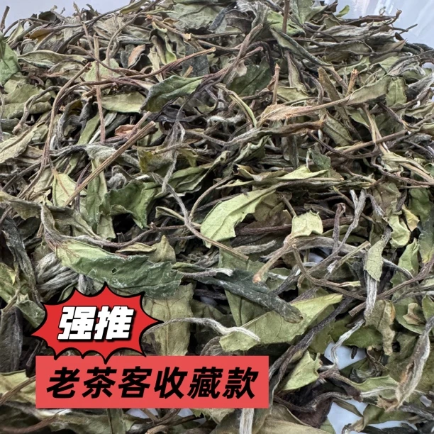 2025年荒野贡眉土茶群体种香奶香花果香高山茶云雾茶群体种香散茶