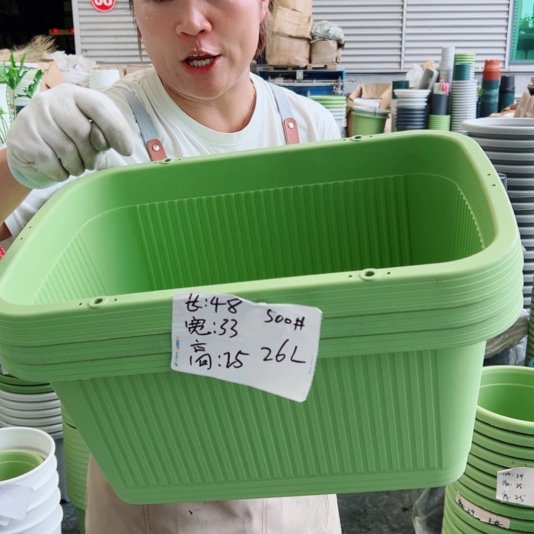 菜盆500#果绿色3个无托