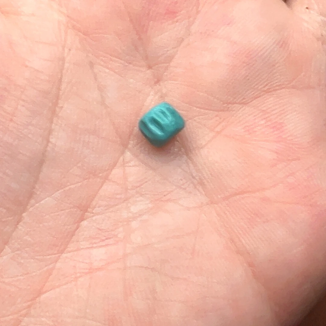 有***事未镶嵌绿松石颈饰
