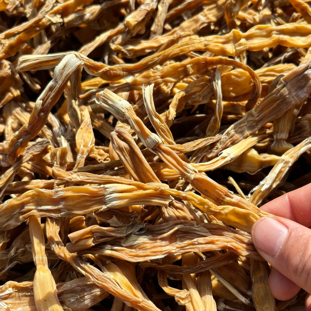 城口老高山金竹儿笋子