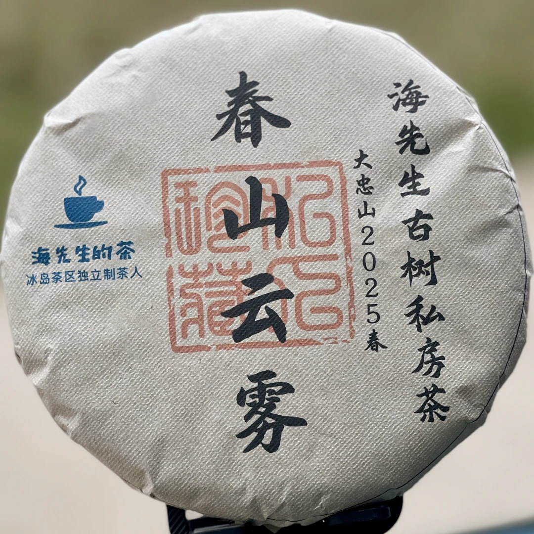 日饮中和精选：春山云雾2025大忠山古树春231g云南普洱生茶饼