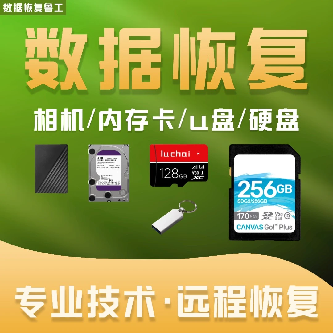 数据恢复相机照片视频误删格式化文档文件u盘硬盘内存卡sd卡恢复