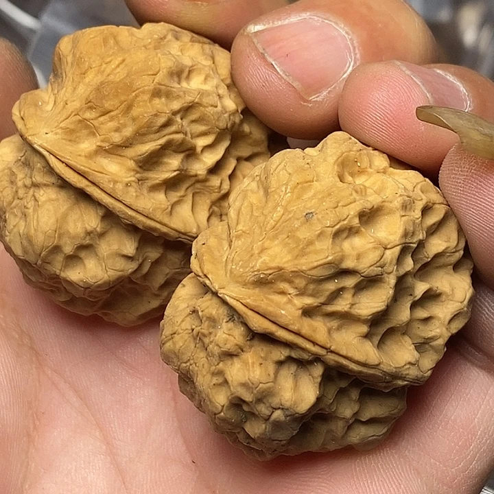 把件文玩核桃云南铁核桃61