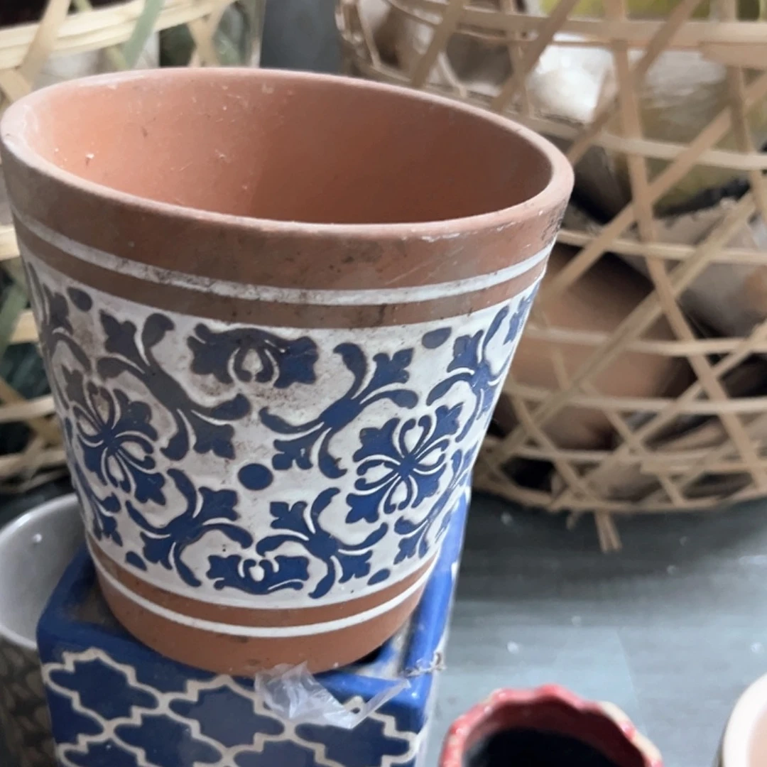 m****?微瑕55555556656655