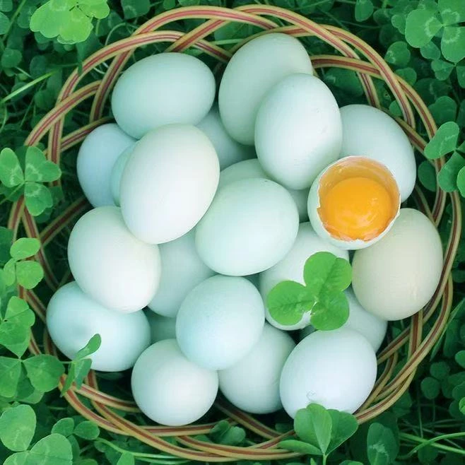 现捡跑山绿壳土鸡蛋