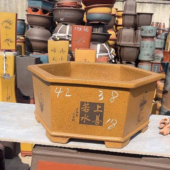 紫砂紫砂花盆盆栽