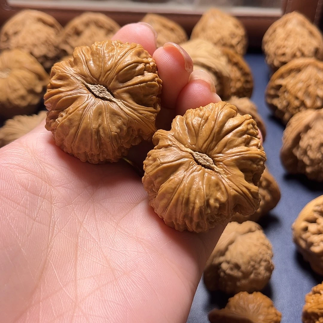 把件文玩核桃白狮子41