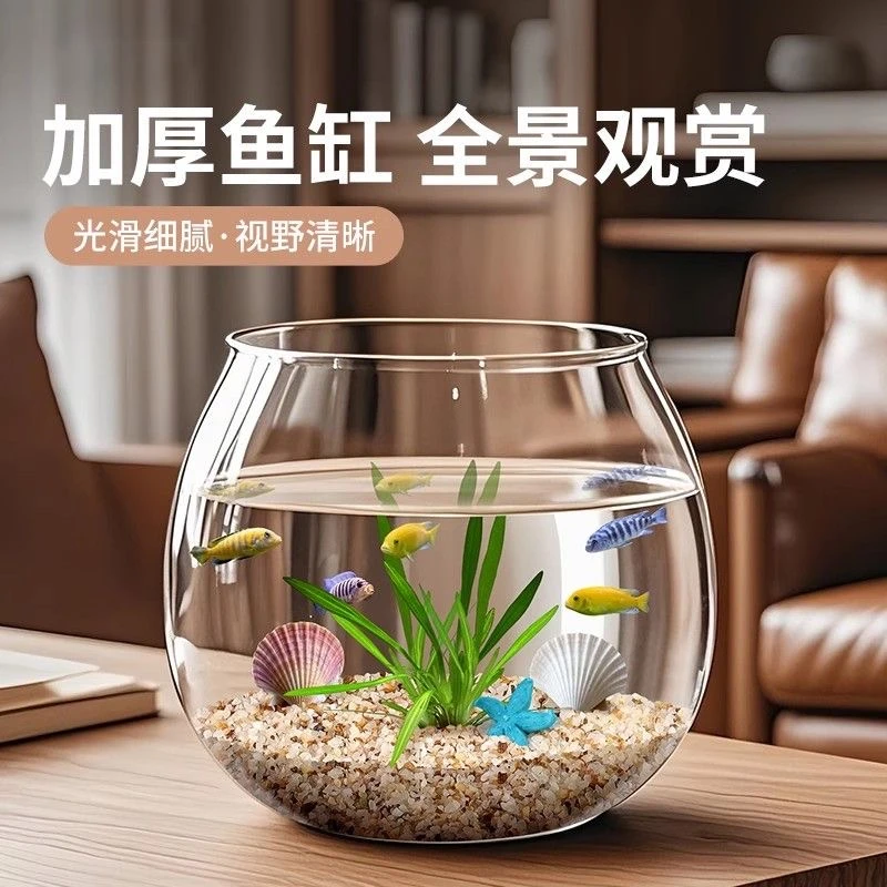 金鱼乌龟缸高清全景观赏加厚防摔客厅办公室中小型微景缸植物水培