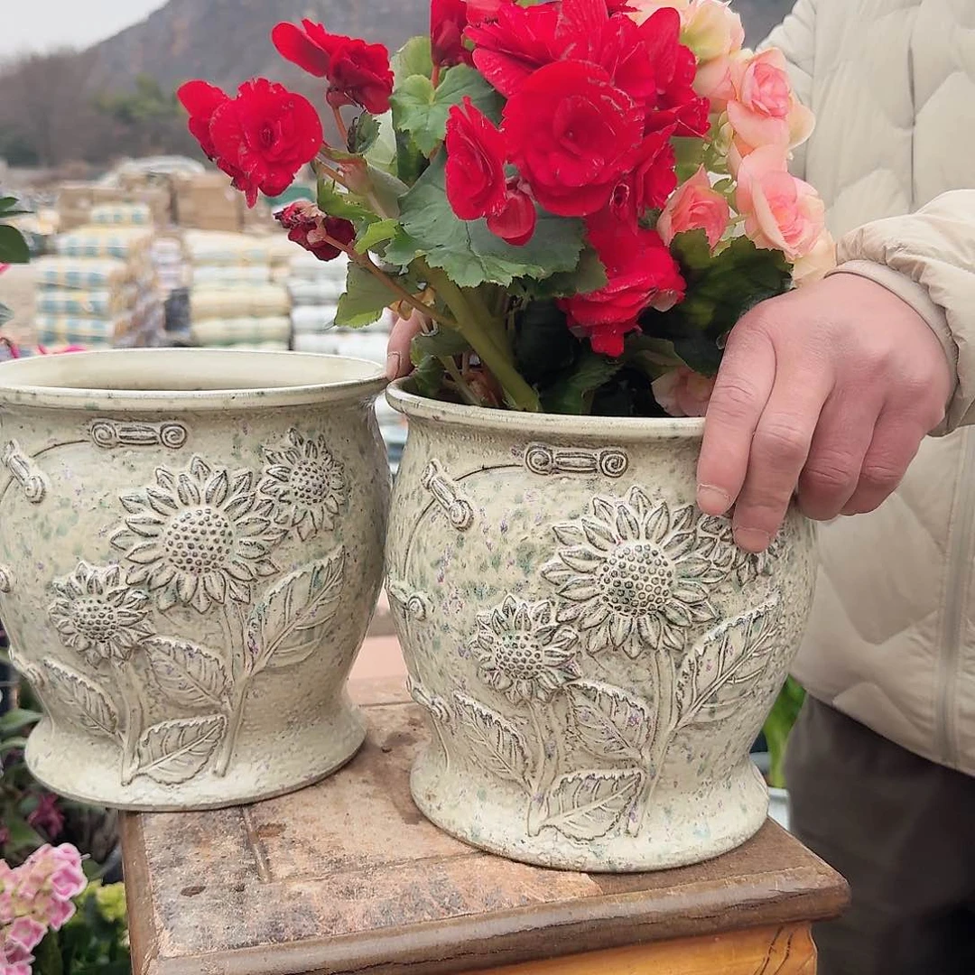 紫砂花盆口20高20（两个太阳花彩色加大号