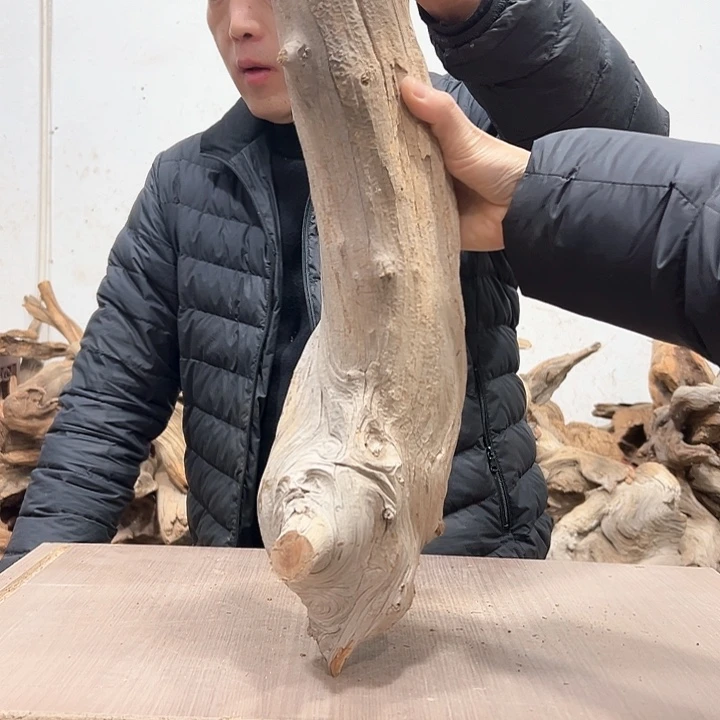 柏木欣*我们都是好孩子呀我也