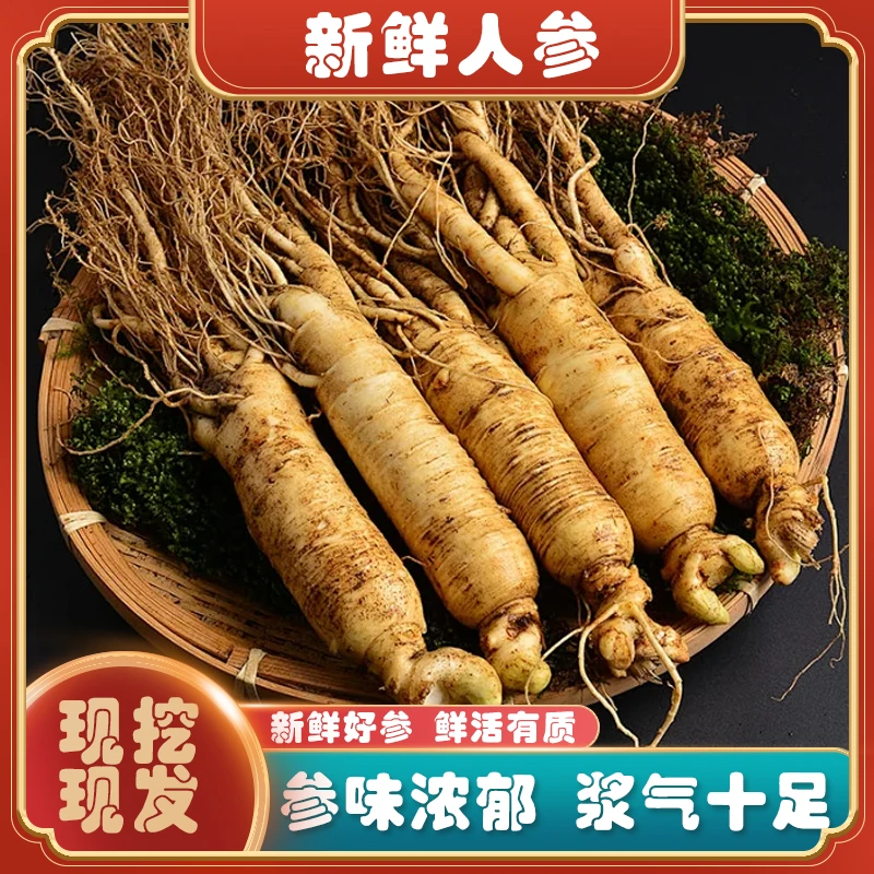 正宗产地直销现挖现卖精选足龄煲汤东北长白山鲜人参