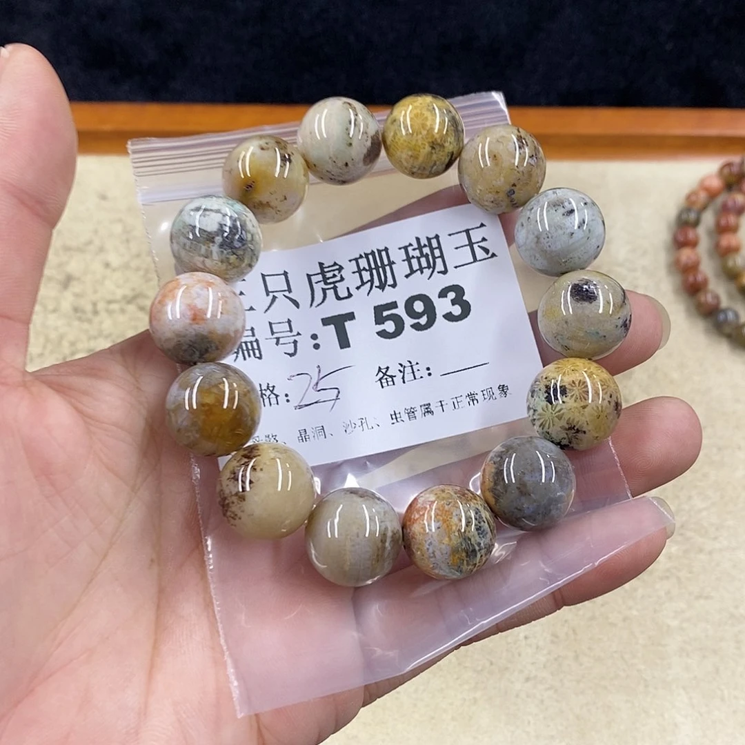 硅化珊瑚（珊瑚玉）1未镶嵌星**