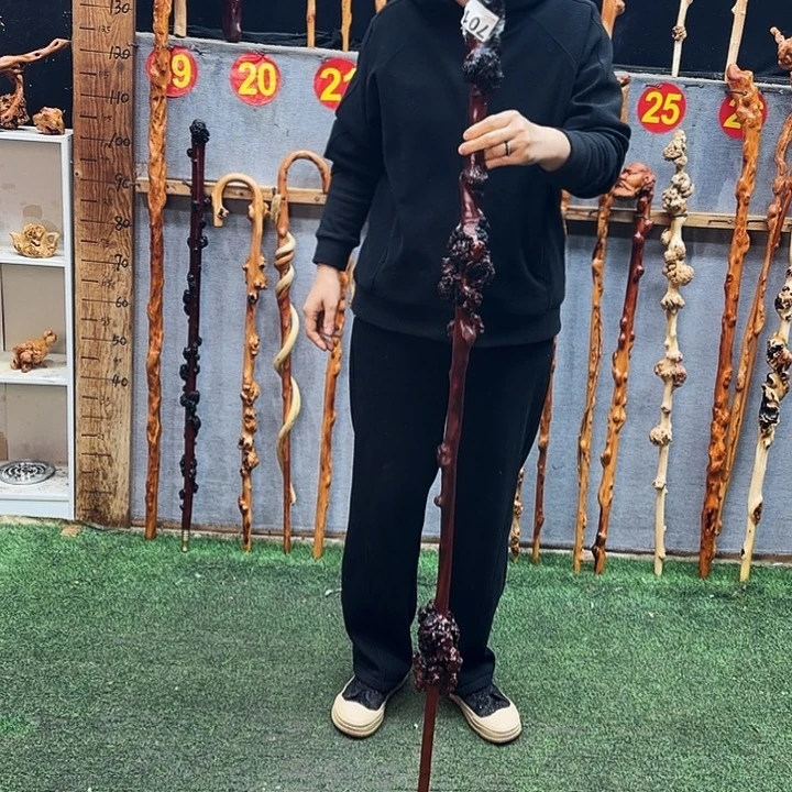 孙***者云南黑果木，中号禅杖701
