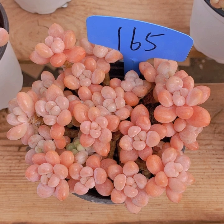 这么多事不给人家