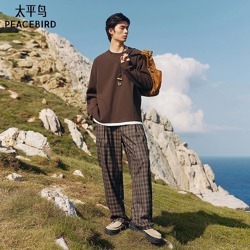 【商场同款】太平鸟男装 2025年秋季新款直筒格纹休闲裤B2GLF3227