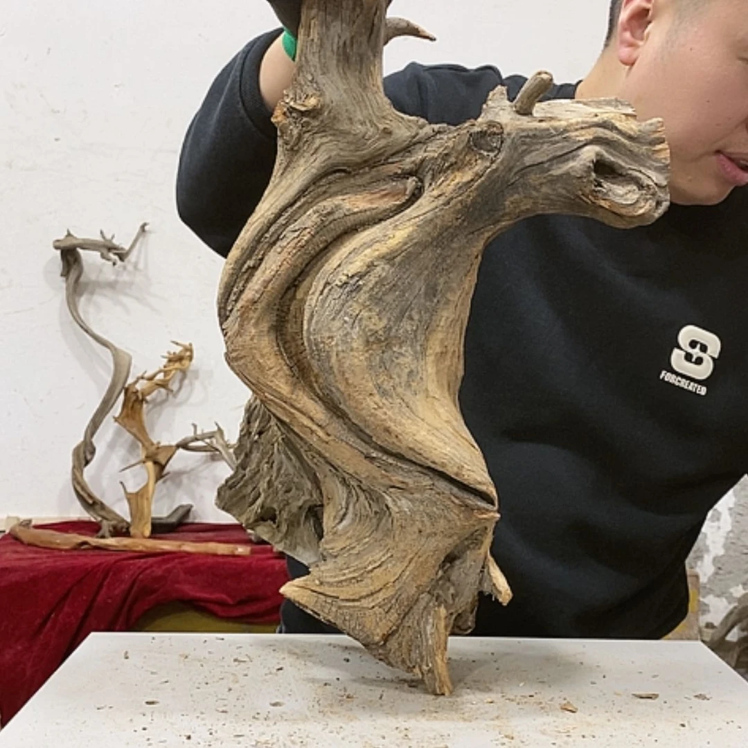 【闪购商品】柏木孔*我们都是好孩子