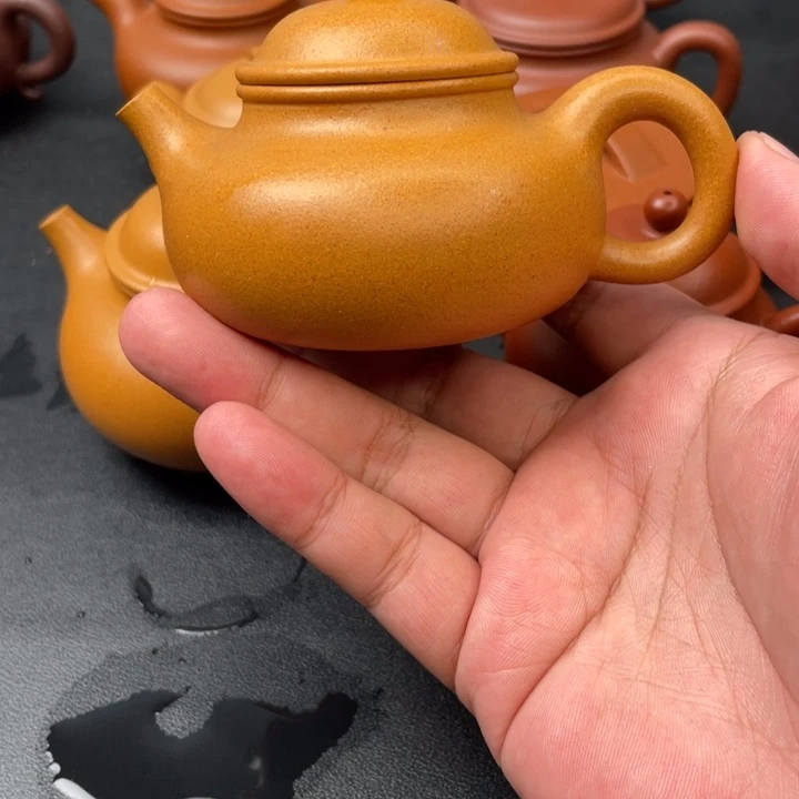 天***阔茶壶紫砂全手工融天
