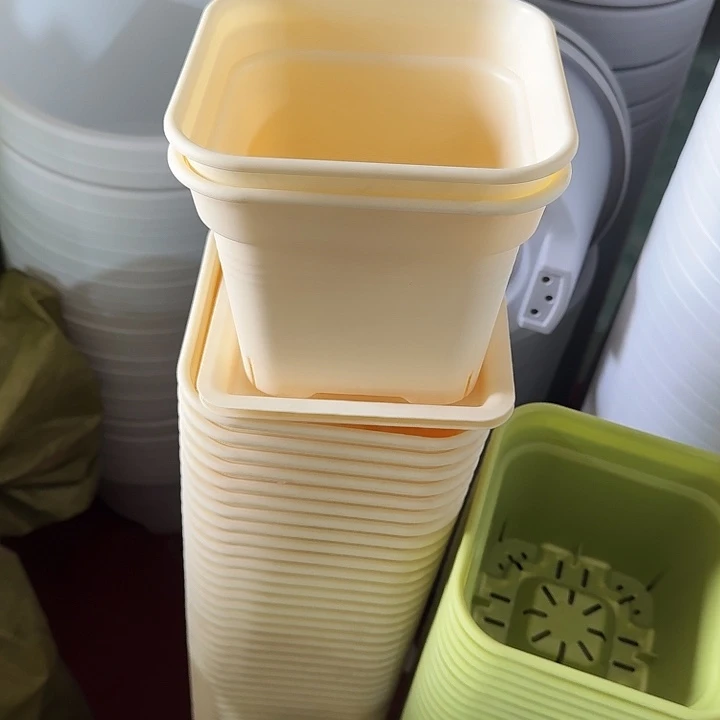 方16口径10个带托米黄新款