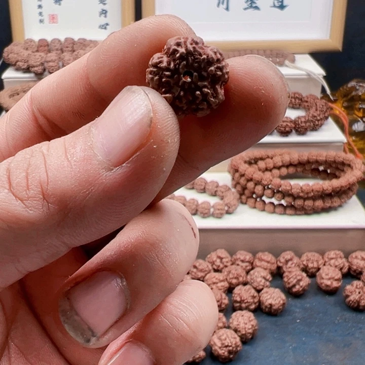 金刚菩提吊坠16尺寸原生态霸王花