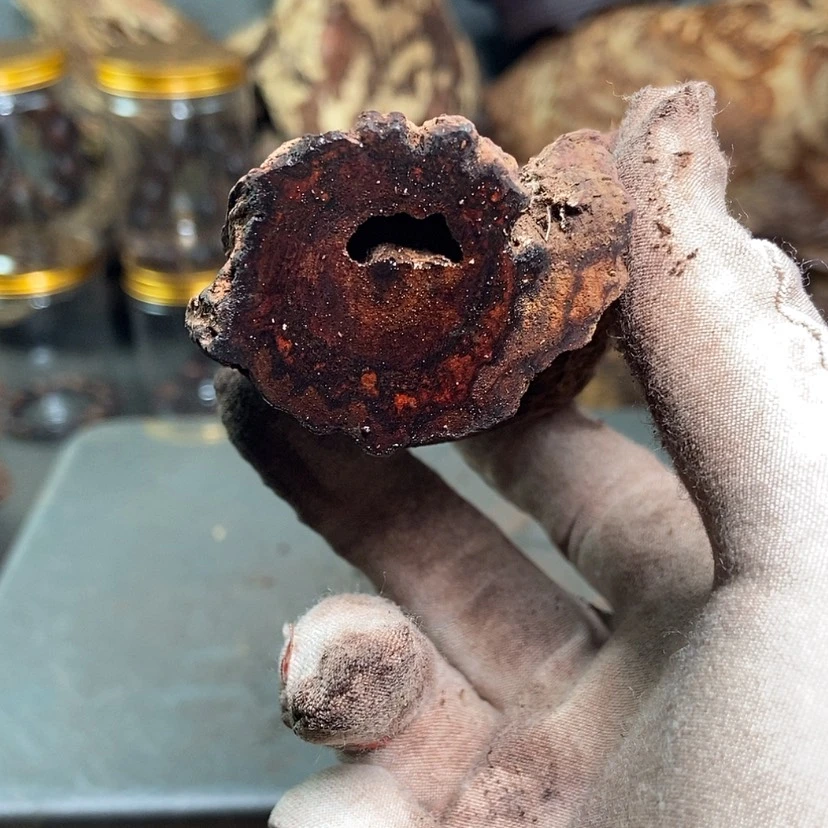 【闪购商品】黄花梨/降香黄檀?***期