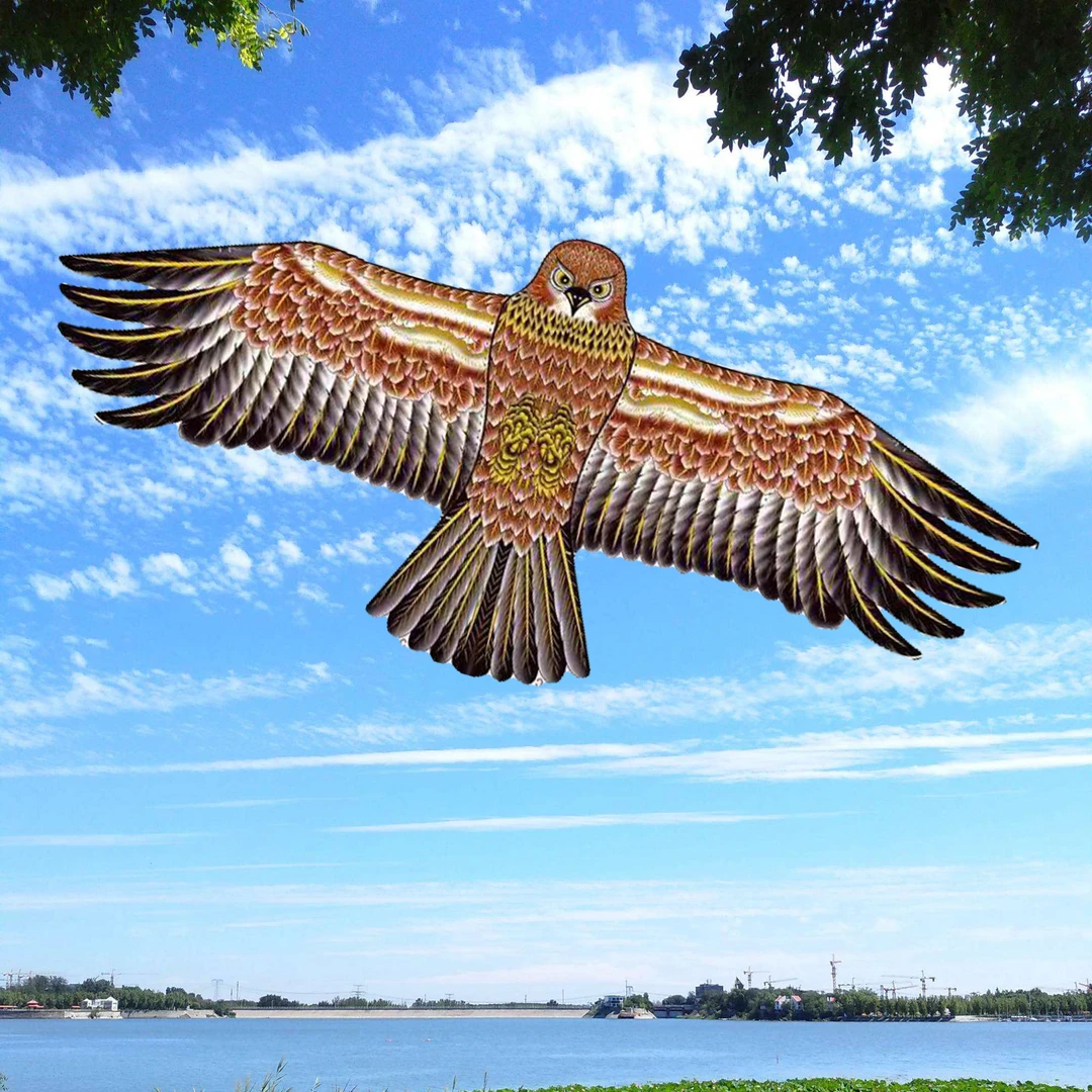 老鹰风筝前撑杆大款材质潍坊风筝大型加厚网红风筝A