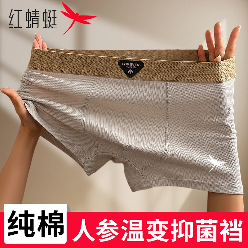 红蜻蜓男士纯棉内裤螺纹人参四角短裤头10A抗菌舒适透气平角短裤