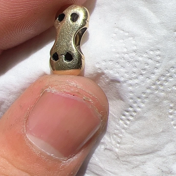 香榧木在***林你的时候你