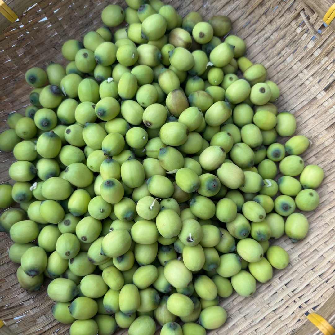 湖南湘西农户自种新鲜莲子现摘现发顺丰包邮