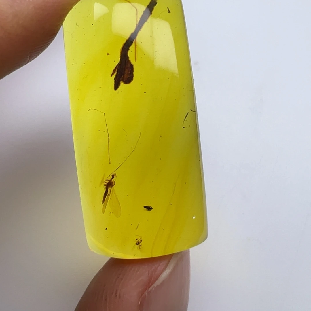 未镶嵌琥珀裸石琥珀虫珀