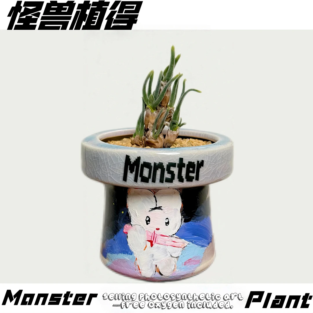 【Monster碧光环】带盆成品